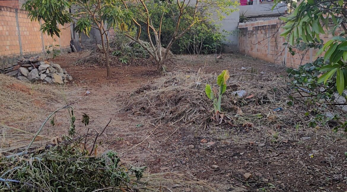 Lote Geraldo R. Paraju 1