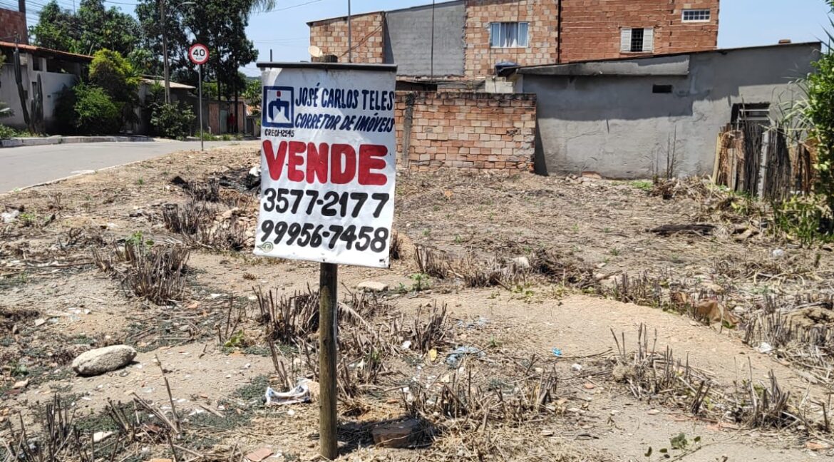 lote conde com mogno